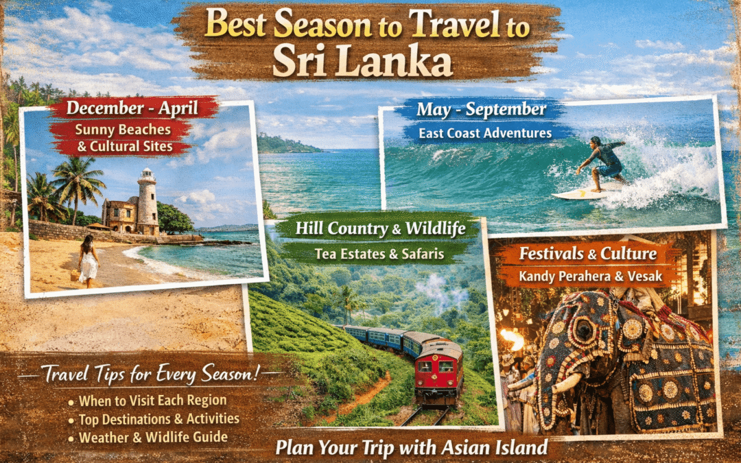 Best Seasons to Travel to Sri Lanka – A Complete Month by Month Guide